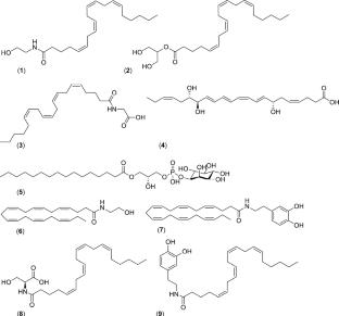 Nonclassical Cannabinoid Receptors: Modern Concepts of Signal Transmission Functions and Mechanisms