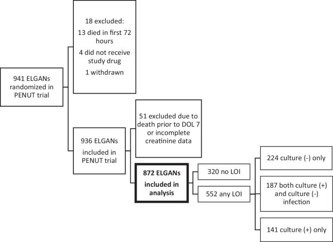 Acute kidney injury and subsequent risk of late-onset infection among extremely low gestational age newborns