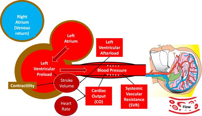 Physiology-guided vasoactive therapy in neonates: rethinking dopamine as first-line