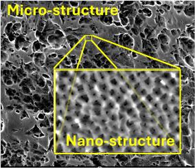 Novel durable broadband absorber with hierarchical nano/micro photonic structure