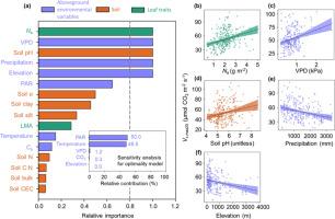 Global photosynthetic capacity jointly determined by enzyme kinetics and eco-evo-environmental drivers