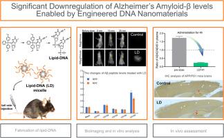 Significant downregulation of Alzheimer's amyloid-β levels enabled by engineered DNA nanomaterials