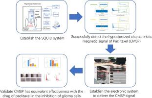 Detection of the characteristic magnetic signal of paclitaxel and its application in the inhibition of glioma cells