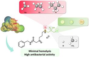 Engineering polysulfoniums for enhanced antibacterial activity with extremely minimal hemolysis