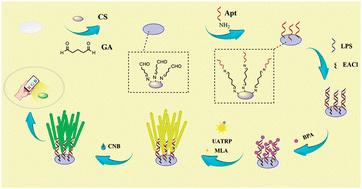 Smartphone-based paper LPS sensor: achieving picomolar ultra-sensitive detection