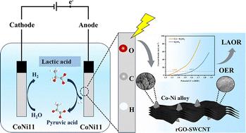 Synergistic lactic acid dehydrogenation and hydrogen evolution catalyzed by an electrodeposited Ni–Co alloy on rGO-SWCNTs