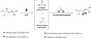 Photocatalytic 1,2-aminoformylation of olefins with bifunctional oxime esters