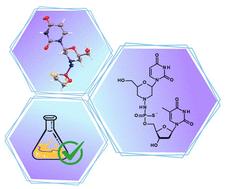 Morpholino-based phosphorothioate analogs via oxathiaphospholane chemistry: synthesis, structural insights and stability