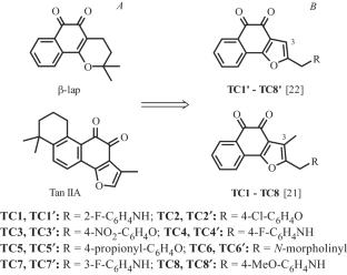 Investigating the Impact of C3-Methyl of Naphtho[1,2-b]Furan-4,5-Dione Analogs for Anticancer Activity
