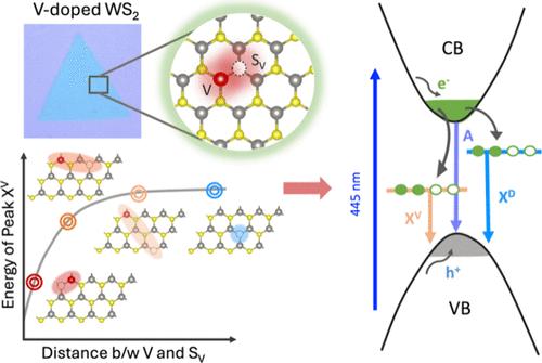 Understanding and Controlling Vanadium Doping and Sulfur Vacancy Behavior in Two-Dimensional Semiconductors: Toward Predictive Design