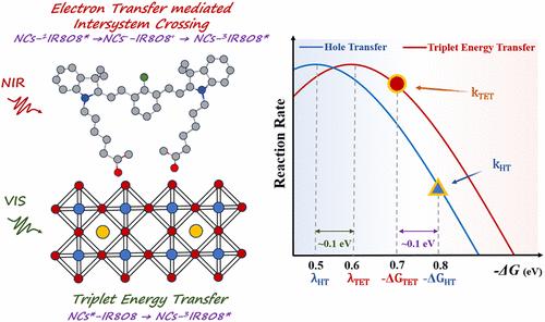 Dictating Excited State Pathways at the Perovskite Nanocrystals–NIR Dye Interface by Thermodynamics-Governed Kinetics