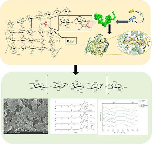 Binding Stability and Catalytic Mechanism of a Novel Chitin Deacetylase from Cytobacillus firmus and Preparation of Chitosan