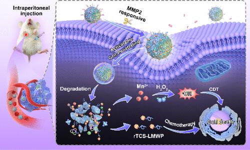 Recombinant Trichosanthin-Loaded Nanoparticles with Tumor-Targeting and Cell-Penetrating Capabilities for Activatable Antitumor Therapy
