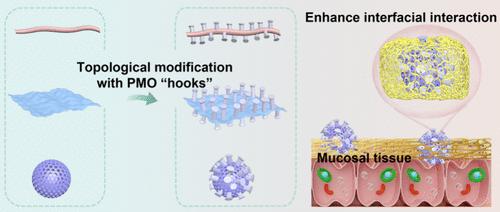 Solvation-Layer Mediated Interfacial Assembly for Surface Topological Engineering of Mesoporous Microcarriers
