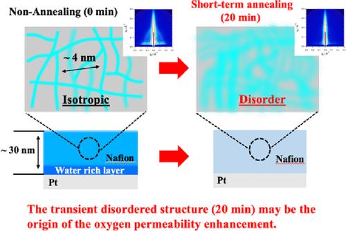 Effect of Short-Term Thermal Annealing on the Nanostructure of Nafion Thin Films on Platinum Substrates