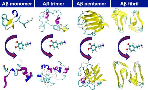 Computational Insights into Dopamine-Mediated Conformational Transitions of Aβ Aggregates in Alzheimer’s Disease