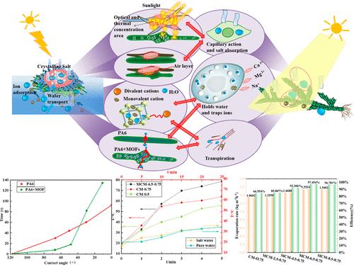 Bioinspired Mossene Membrane Integrating Sulfhydryl-Modified MOFs for Efficient Solar-Driven Seawater Desalination