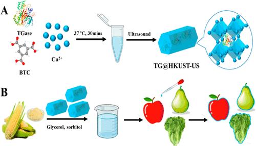 Metal–Organic Framework-Encapsulated Transglutaminase Biocatalyst: Enhancing Operational Stability and Freshness Retention in Food Coatings
