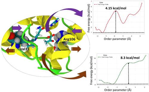 The Shaping of Enzymatic Free Energy Barriers through the Creation of Rate-Promoting Vibrations via Inter-Residue Cross-Talk on Multiple Time Scales