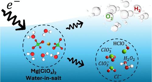 Investigating the Accelerated Aging of Water-in-Salt Electrolytes: A Focus on Magnesium Perchlorates via Radiolysis