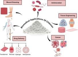 Preclinical, clinical, and commercialization of chitosan in the biomedical space