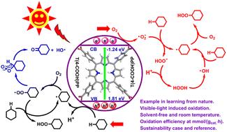 Visible-light-induced photocatalytic oxidation of C–H bonds with O2 employing simple porphyrins as photocatalysts under solvent-free conditions