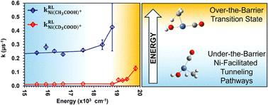 Quantum tunneling dynamics in the Ni+-mediated C–H activation of acetic acid