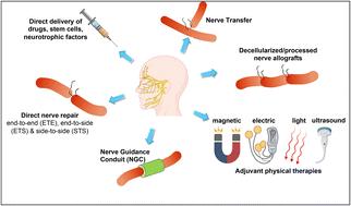 Facial nerve pathology: emerging strategies for regeneration and functional restoration