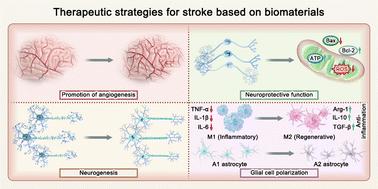 Advanced regenerative biomaterials for ischaemic stroke: a comprehensive therapeutic strategy