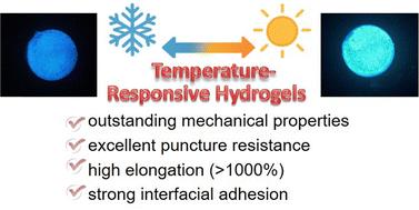 Temperature-responsive hydrogels with adaptive coloration and superior mechanical performance