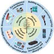 Physicochemical, polymeric and microbial modifications of wood toward advanced functional applications: a review