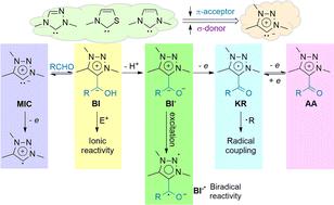 Organocatalysis promoted by 1,2,3-triazolylidenes (MICs): carbenes which make a difference