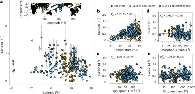 Future ocean warming may cause large reductions in Prochlorococcus biomass and productivity