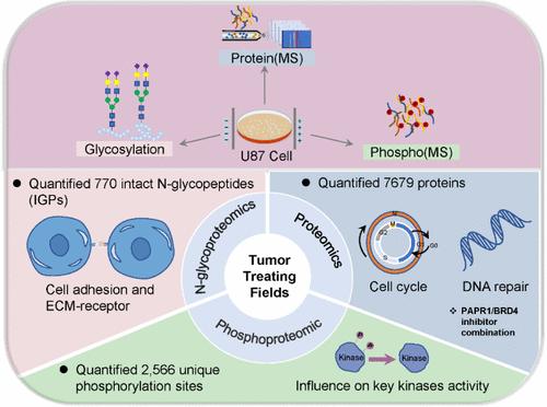 Multiomics Insights into the Mechanism and Enhanced Efficacy of Tumor Treating Fields (TTFields) Therapy in Glioblastoma