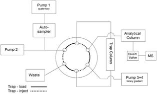 Quantitative profiling of lipid mediators in sperm cells through on-line dilution on-line polymer matrix-based solid-phase extraction liquid chromatography with mass spectrometric detection