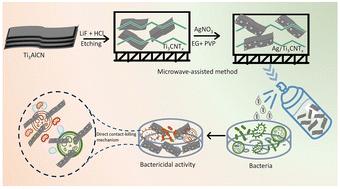 Microwave-assisted growth of Ag nanoparticles on Ti3CNTx MXene for antibacterial food packaging