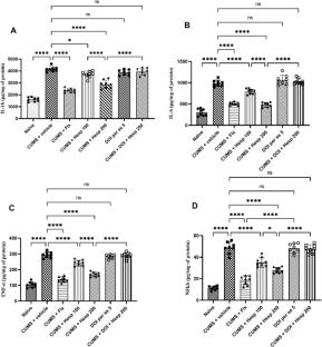 Hesperidin Attenuates Chronic Stress-Induced Depression via 5-HT2A-Linked Modulation of Neurochemical, Oxidative, and Inflammatory Pathways: Experimental and In Silico Evidence