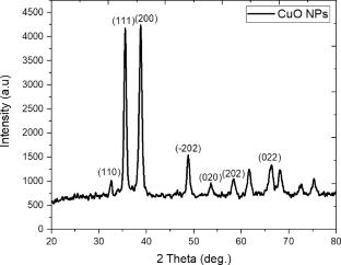 Green reduction approach for the synthesis of copper oxide nanoparticles using ginger extract and evaluation of their free radical scavenging activity