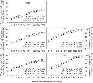 Early cotyledon removal has stronger negative effects on root growth and storage than on shoots in Quercus variabilis seedlings, regardless of soil fertility