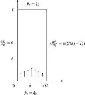 Modelling of the Forchheimer-Extended Darcy–Brinkman–Boussinesq Flow Through a Thin Channel