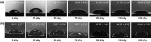 Utilizing gamma irradiation-induced oxidation on recycled high-density polyethylene to produce a compatibilizer for fabrication of waste-derived wood-polymer composite