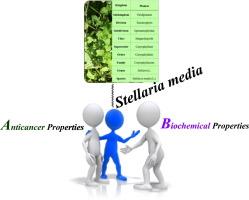 Biochemical and anticancer properties of Stellaria media extract in breast Cancer