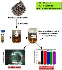 Autoxidative transformation of green lubricants induced by bombax ceiba biodiesel and its tribo-thermal consequences