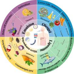 Encapsulation of hydrophobic functional components in yogurt: technology, product characteristics and health benefits