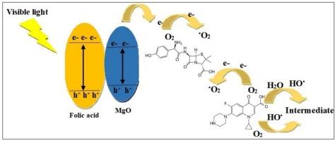 Photodegradation of cephalexin and amoxicillin through green-synthesized MgO@folic acid nanoparticles