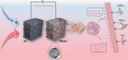 Simultaneous capacitive removal of nitrate and phosphate pollutants via Zr-BTB@CNTs electrode for remediation of aquatic eutrophication