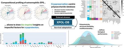 Polysaccharides in cryopreservation: multidimensional systematic review of extremophilic traits and the role of selective pressure in structure-function relationships