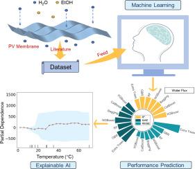 An artificial intelligence framework for separation performance prediction of polymeric pervaporation membranes