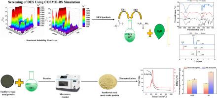 Extraction and Characterization of Protein from sunflower meal using tailor-made deep eutectic solvents based on COSMO-RS design