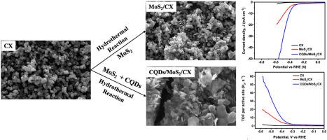 Tailoring MoS2 nanosheets dispersion on carbon xerogel with carbon quantum dots for efficient hydrogen evolution reaction
